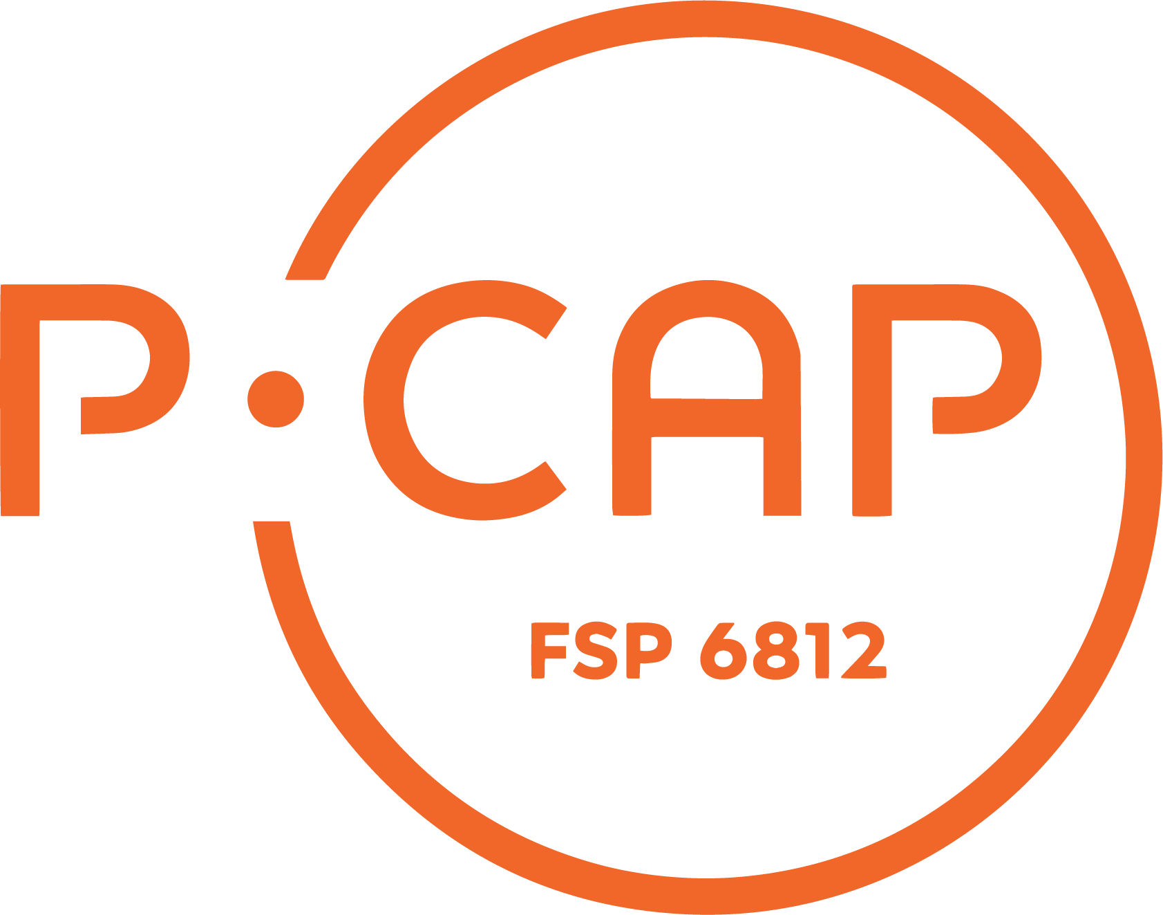 P.Cap Consult